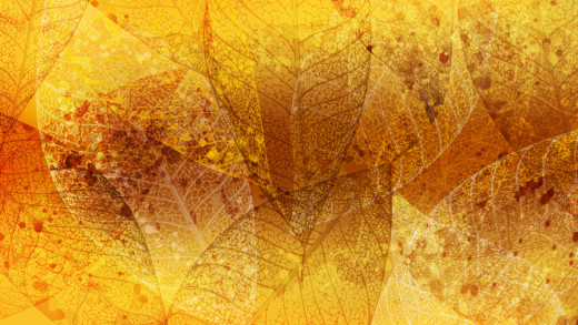 1106681 (a): :4000x2250